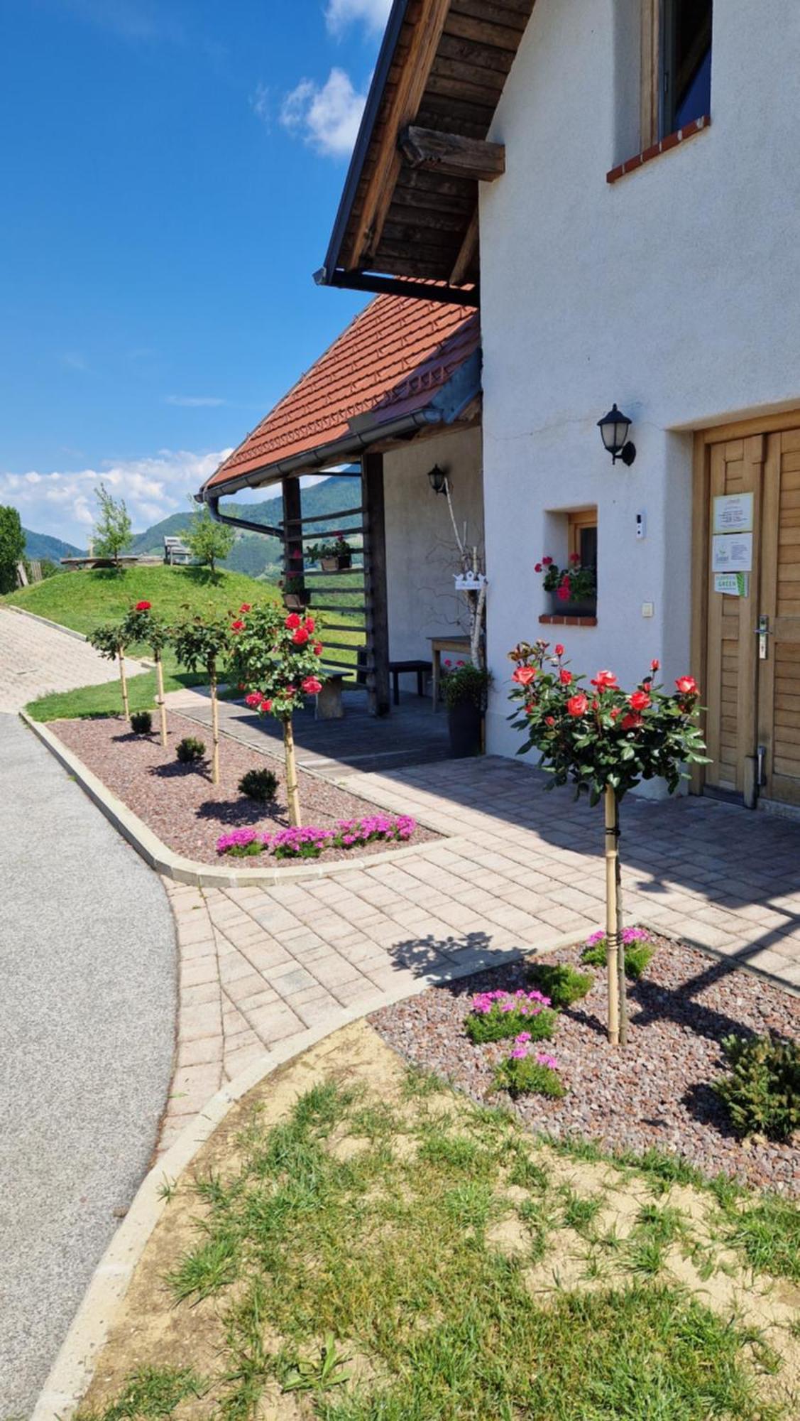 Relax Guest House Marjanca Rogaska Slatina Luaran gambar